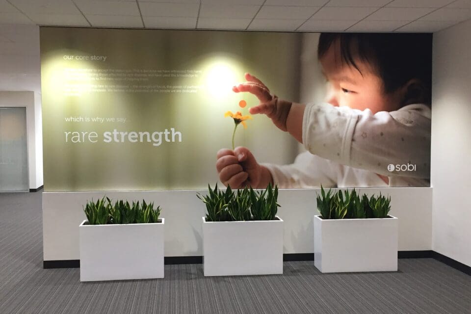 SOBI Wall Display